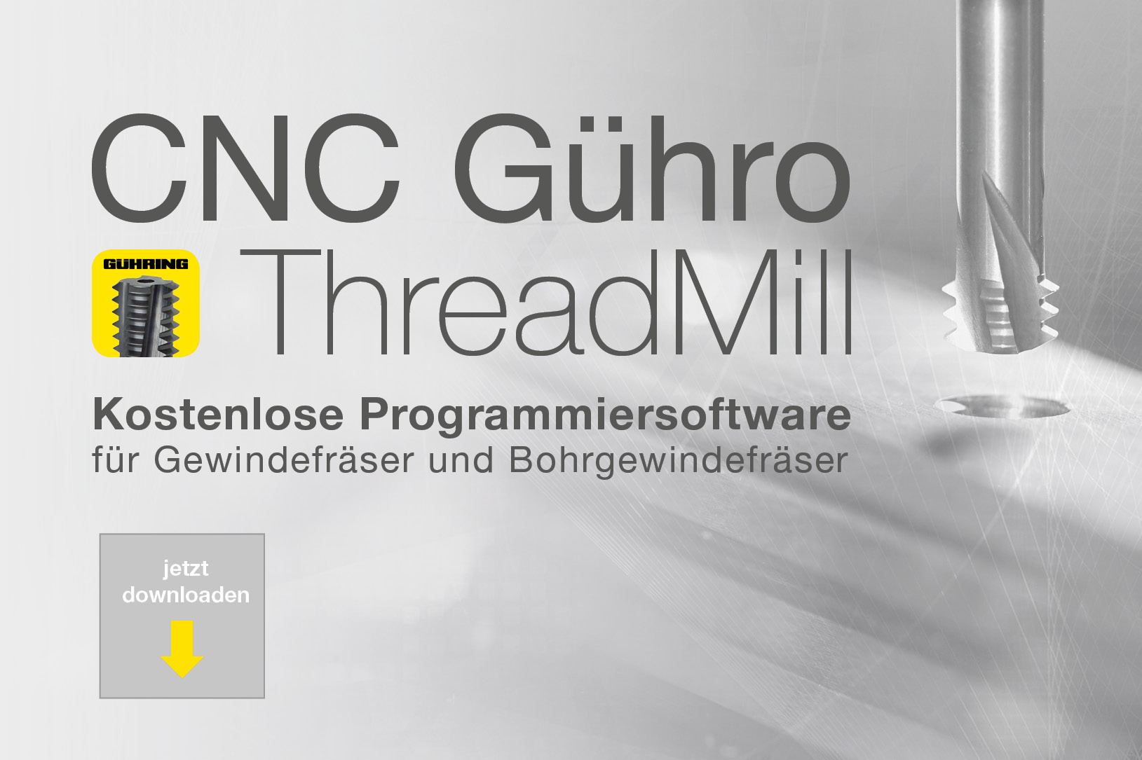 Programmsoftware