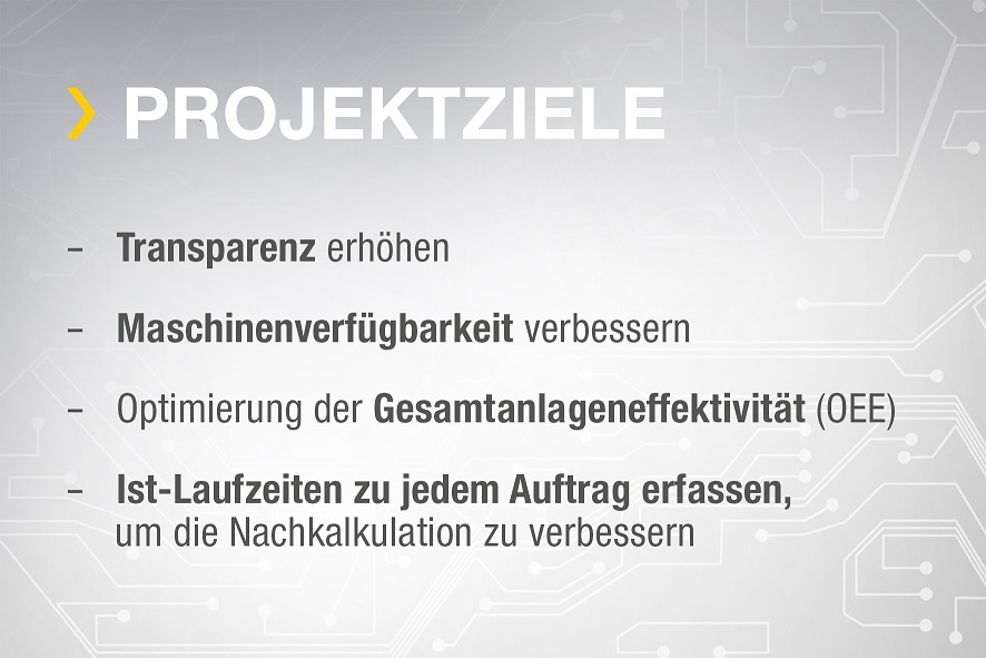 Die Ziele des Software-Projekts